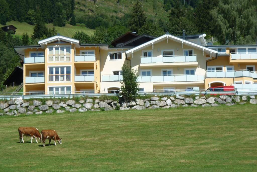 Apartment Hohe Tauern Piesendorf Dış mekan fotoğraf