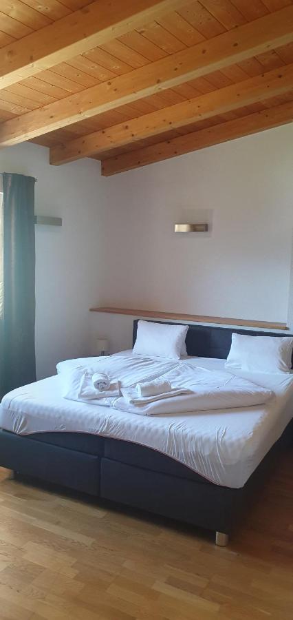 Apartment Hohe Tauern Piesendorf Dış mekan fotoğraf